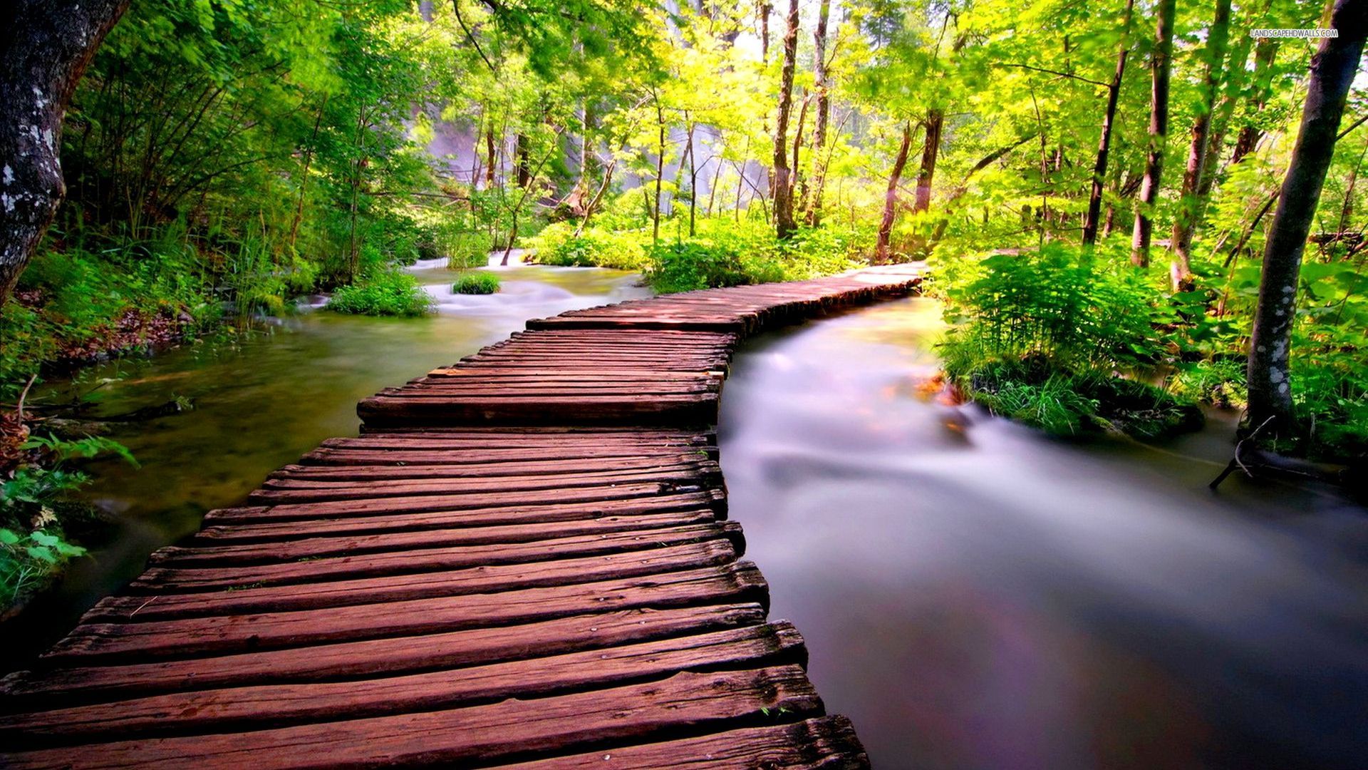 [THUYẾT HIỆN TẠI – Giao điểm của mọi Thực tại | Kỳ 16] – Làm thế nào “THUYẾT HIỆN TẠI – Giao điểm của mọi Thực tại” có thể giải quyết được vấn đề GIA TĂNG THU NHẬP cho con người và xã hội?